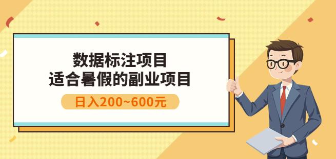 副业赚钱：人工智能数据标注项目，简单易上手，小白也能日入200+-润泽资源库