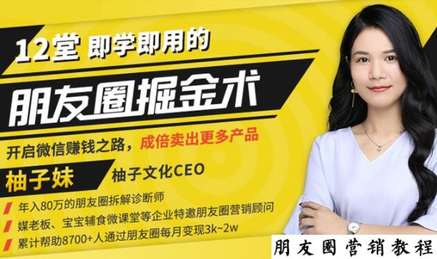【营销必学】12堂学之即用的朋友圈掘金术：开启你的副业赚钱之路-润泽资源库