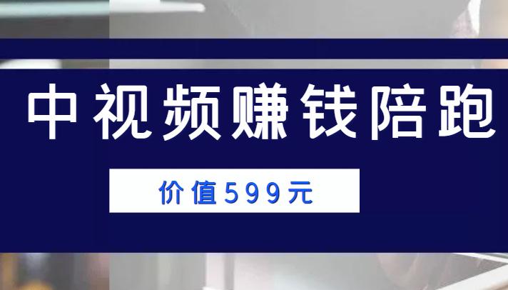 中视频赚钱陪跑，卖中视频账户赚钱收益陪跑项目（价值599元）-润泽资源库