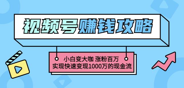 玩转微信视频号赚钱：小白变大咖涨粉百万实现快速变现1000万的现金流-润泽资源库