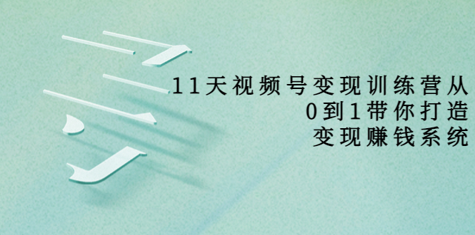 11天视频号变现训练营，从0到1打造变现赚钱系统（价值398元）-润泽资源库