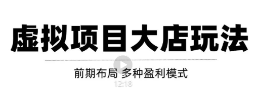 虚拟项目月入几万大店玩法分享，多店操作利润倍增（快速起店盈利）-润泽资源库