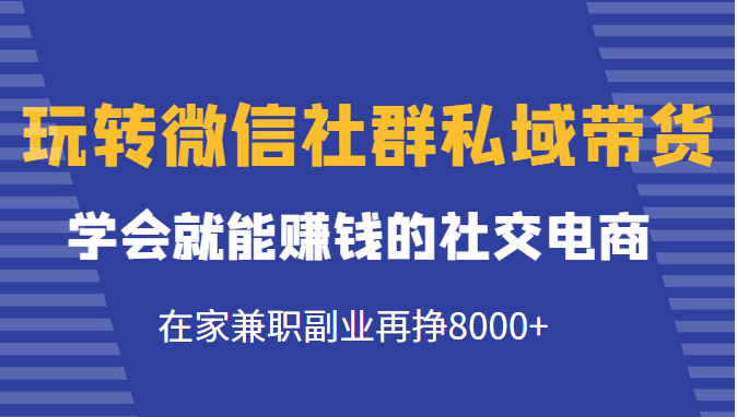玩转微信社群私域带货，学会就能赚钱的社交电商，在家兼职副业再挣8000+-润泽资源库