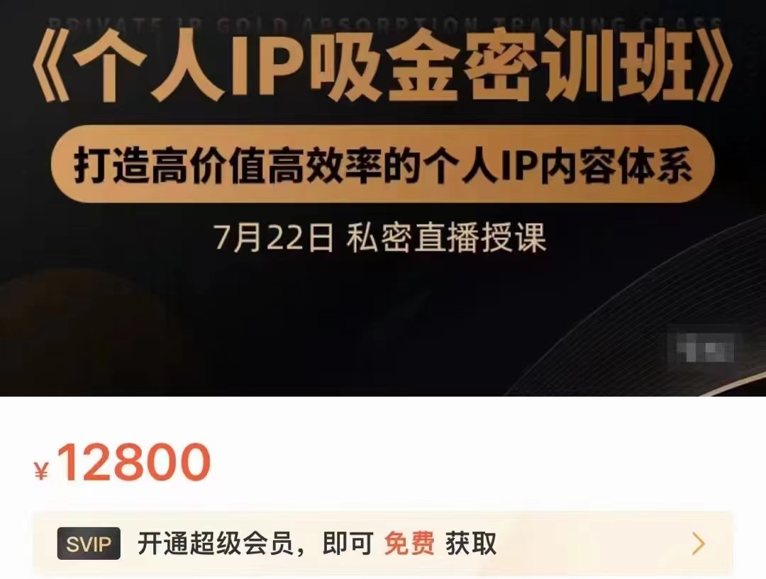 个人IP吸金密训班，打造高价值高效率的个人IP内容体系（价值12800元）-润泽资源库