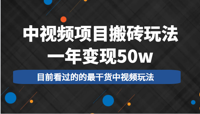 中视频项目搬砖玩法，一年变现50w，目前看过的的最干货中视频玩法-润泽资源库