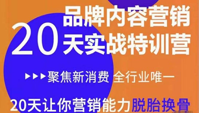 《内容营销实操特训营》20天让你营销能力脱胎换骨（价值3999）-润泽资源库
