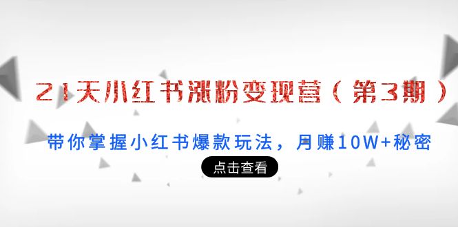 21天小红书涨粉变现营（第3期）：带你掌握小红书爆款玩法，月赚10W+秘密-润泽资源库