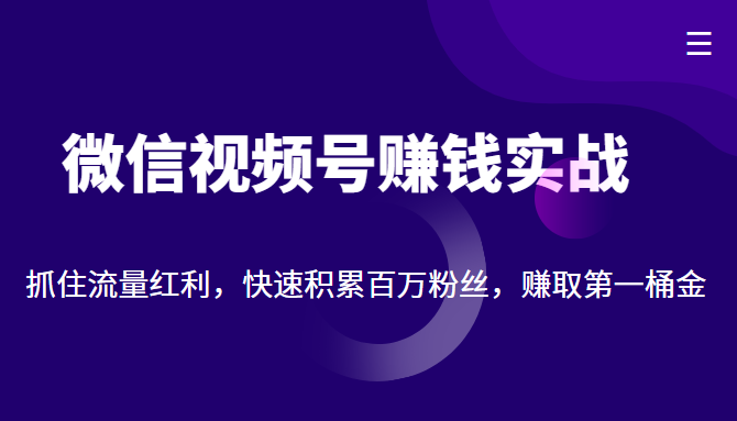 微信视频号赚钱实战：抓住流量红利，快速积累百万粉丝，赚取你的第一桶金-润泽资源库