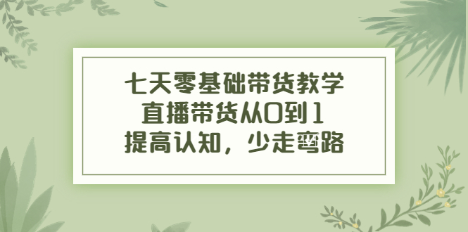 七天零基础带货教学，直播带货从0到1，提高认知，少走弯路-润泽资源库