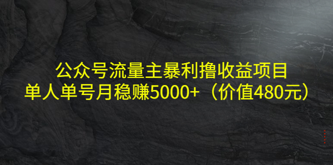 公众号流量主暴利撸收益项目，单人单号月稳赚5000+（价值480元）-润泽资源库