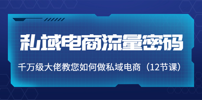 私域电商流量密码：千万级大佬教您如何做私域电商（12节课）-润泽资源库