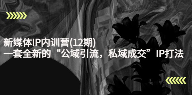 新媒体IP内训营(12期)，一套全新的“公域引流，私域成交”IP打法，直接带走-润泽资源库