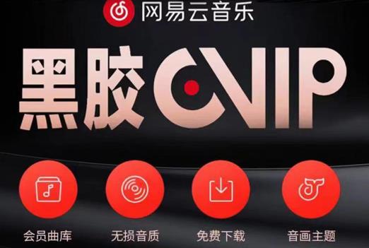 网易云音乐撸黑胶年卡及变现方法，收益可无限放大-润泽资源库