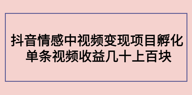 副业孵化营第5期：抖音情感中视频变现项目孵化 单条视频收益几十上百-润泽资源库