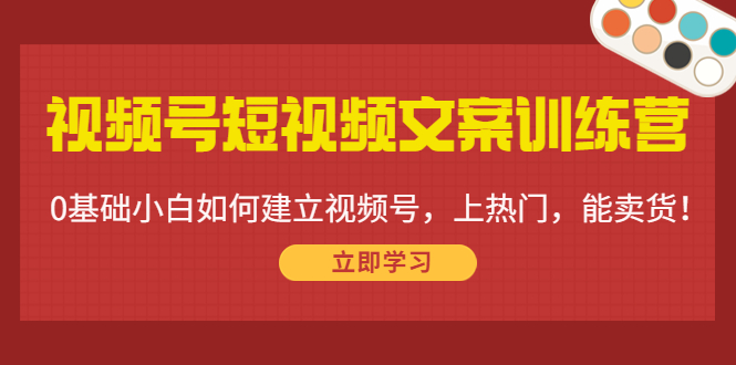 视频号短视频文案训练营：0基础小白如何建立视频号，上热门，能卖货！-润泽资源库