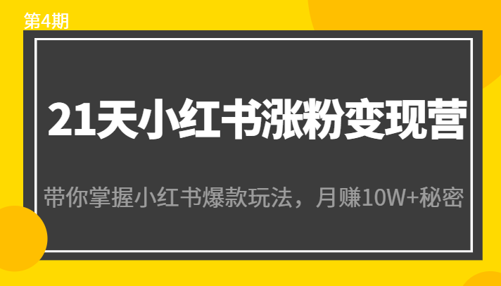 21天小红书涨粉变现营（第4期）：带你掌握小红书爆款玩法，月赚10W+秘密-润泽资源库