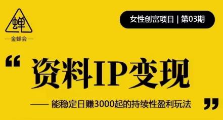资料IP变现，能稳定日赚3000起的持续性盈利玩法-润泽资源库