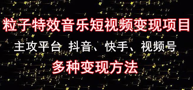 黄岛主《粒子特效音乐短视频变现项目》主攻平台抖音、快手、视频号多种变现方法-润泽资源库