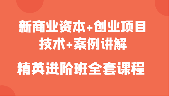 新商业资本+创业项目，技术+案例讲解，精英进阶班全套课程-润泽资源库
