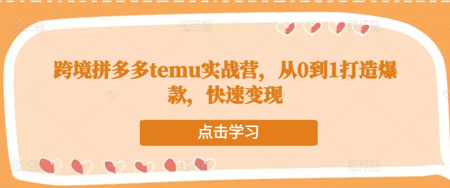 跨境拼多多temu实战营，从0到1打造爆款，快速变现-润泽资源库