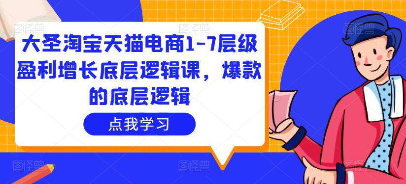 大圣淘宝天猫电商1-7层级盈利增长底层逻辑课，爆款的底层逻辑-润泽资源库