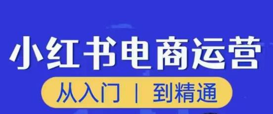 顽石小红书电商高阶运营课程，从入门到精通，玩法流程持续更新-润泽资源库