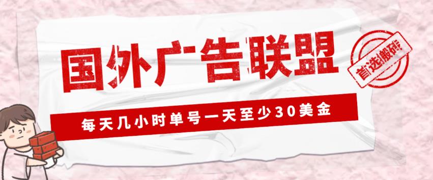 外面收费1980的最新国外LEAD广告联盟搬砖项目，单号一天至少30美金【详细玩法教程】-润泽资源库