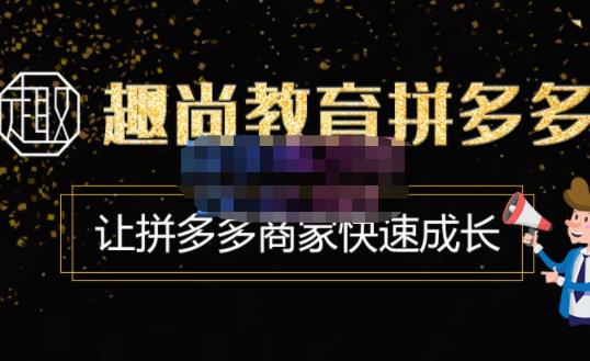 趣尚教育·拼多多运营实操VIP特训营，让拼多多商家快速成长-价值3180元-润泽资源库