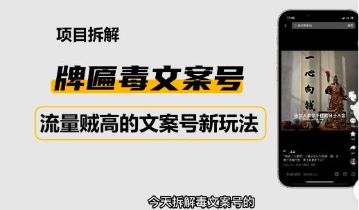 2023抖音快手毒文案新玩法，牌匾文案号，起号快易变现-润泽资源库
