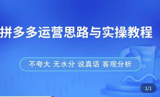 拼多多店铺运营思路与实操教程，快速学会拼多多开店和运营，少踩坑，多盈利-润泽资源库