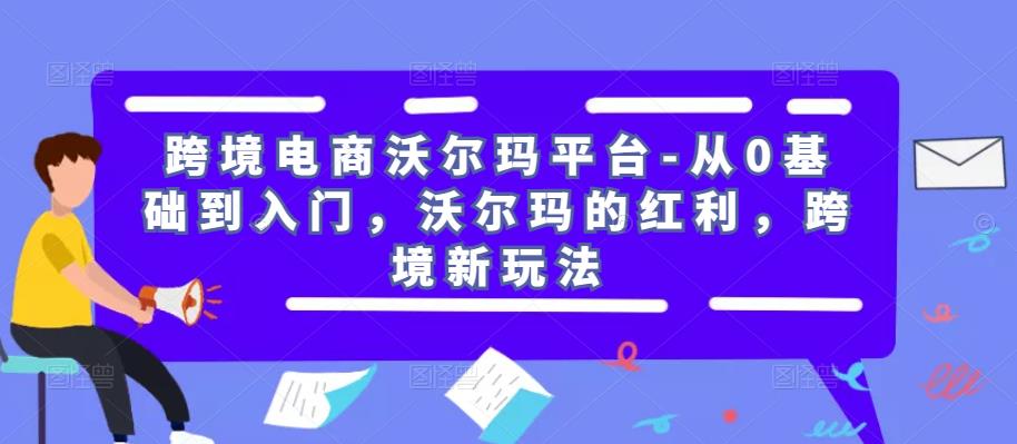 跨境电商沃尔玛平台-从0基础到入门，沃尔玛的红利，跨境新玩法-润泽资源库