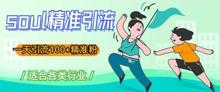 soul精准引流系列课程，一天引流100+精准粉，适合各类行业-润泽资源库