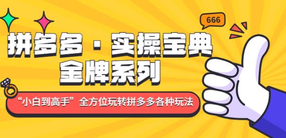 拼多多·实操宝典：金牌系列“小白到高手”带你全方位玩转拼多多各种玩法-润泽资源库