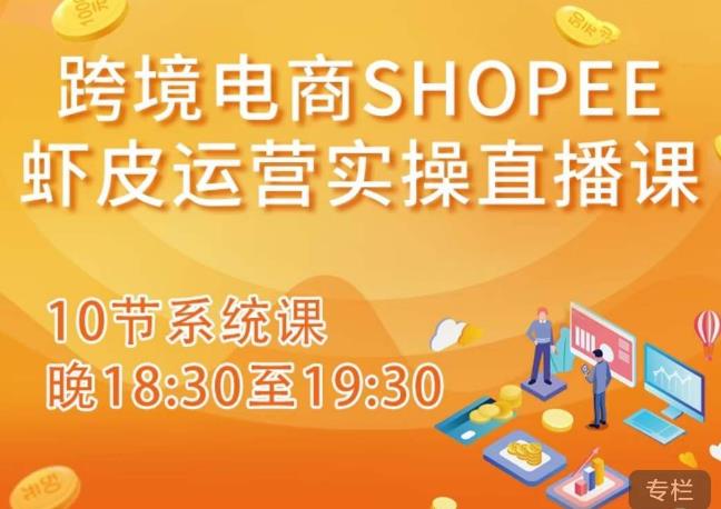 跨境电商Shopee虾皮运营实操直播课，从零开始学，入门到精通（10节系统课）-润泽资源库