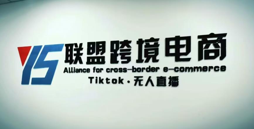 YS联盟·Tiktok无人直播，不出镜不剪辑不拍摄不发货无售后的跨境短视频躺赚玩法-润泽资源库