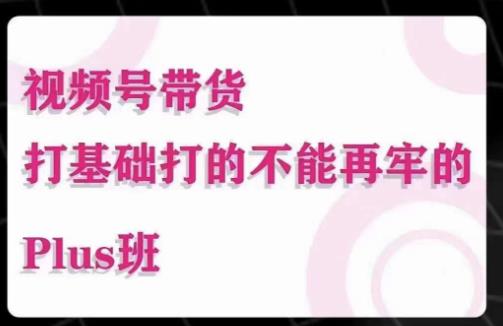 大播汇·视频号带货Puls班，视频号底层逻辑，起号自然流鱼塘等玩法-润泽资源库
