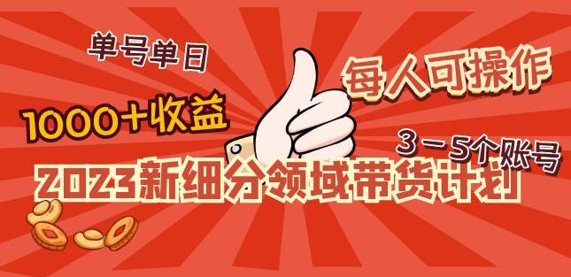 2023新细分领域带货计划：单号单日1000+收益不难，每人可操作3-5个账号-润泽资源库