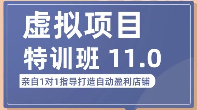 陆明明·虚拟项目特训班（10.0+11.0），0成本获取虚拟素材，0基础打造自动盈利店铺-润泽资源库