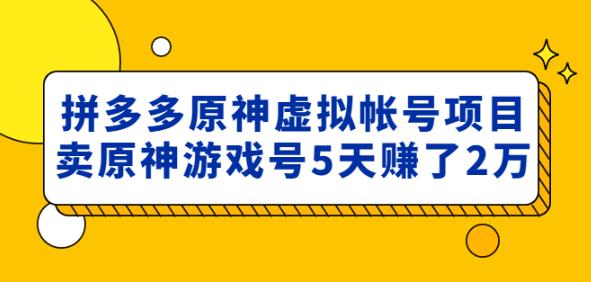 外面卖2980的拼多多原神虚拟帐号项目：卖原神游戏号5天赚了2万-润泽资源库