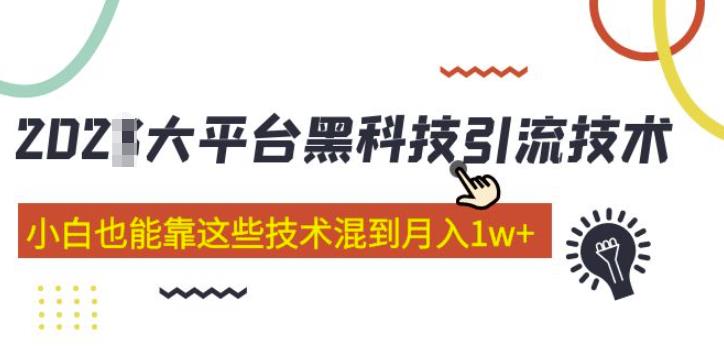 大平台黑科技引流技术，小白也能靠这些技术混到月入1w+(2022年的课程）-润泽资源库