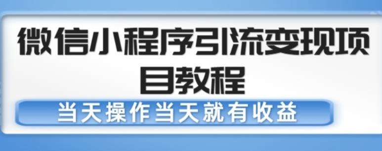 微信小程序引流变现项目教程，当天操作当天就有收益，变现不再是难事-润泽资源库