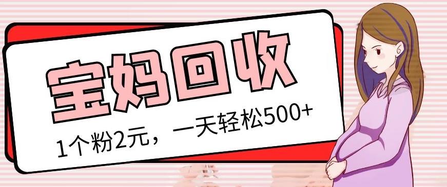 最新宝妈粉回收变现计划及胎教音乐高端变现玩法全套教程！（非老玩法）-润泽资源库