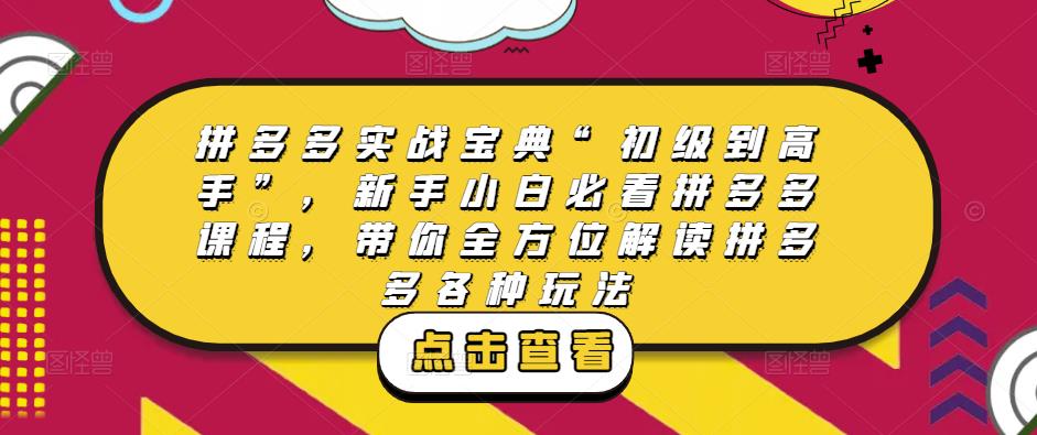 拼多多实战宝典“初级到高手”，新手小白必看拼多多课程，带你全方位解读拼多多各种玩法-润泽资源库