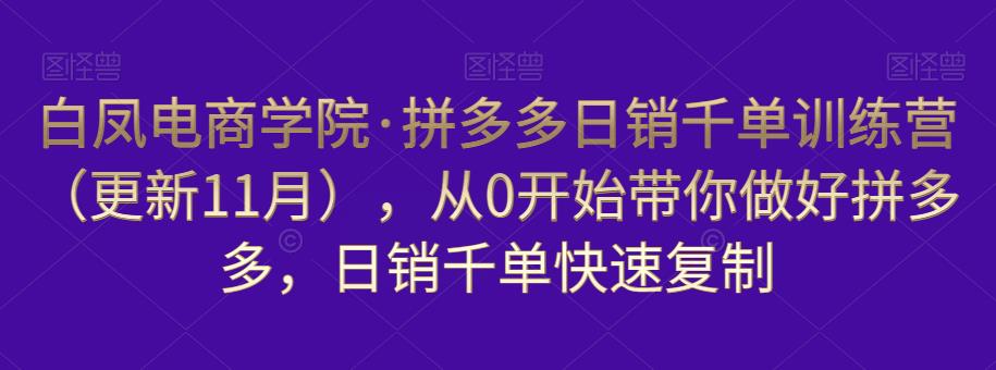 白凤电商学院·拼多多日销千单训练营，从0开始带你做好拼多多，日销千单快速复制（更新知2023年3月）-润泽资源库