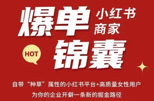 无畏·小红书商家爆单锦囊，掌握小红书各大规则，快速精准抢占行业和市场-润泽资源库