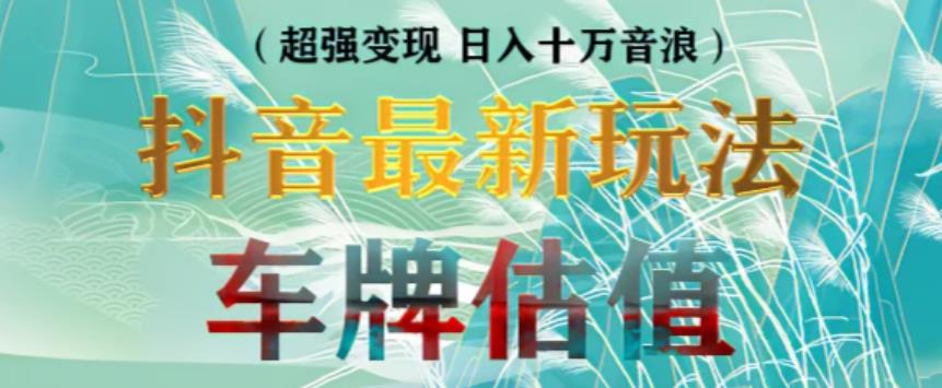 抖音最新无人直播变现直播车牌估值玩法项目，轻松日赚几百+【详细玩法教程】-润泽资源库