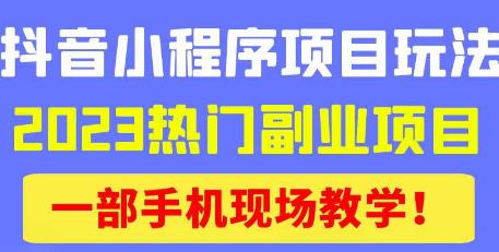 抖音小程序9.0新技巧，2023热门副业项目，动动手指轻松变现-润泽资源库