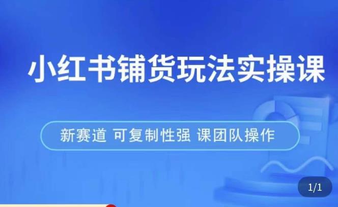 小红书铺货玩法实操课，流量大，竞争小，非常好做，新赛道，可复制性强，可团队操作-润泽资源库