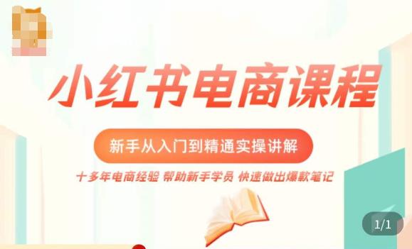 小红书电商新手入门到精通实操课，从入门到精通做爆款笔记，开店运营-润泽资源库