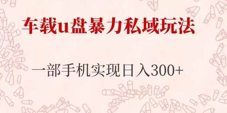 车载u盘暴力私域玩法，长期项目，仅需一部手机实现日入300+-润泽资源库